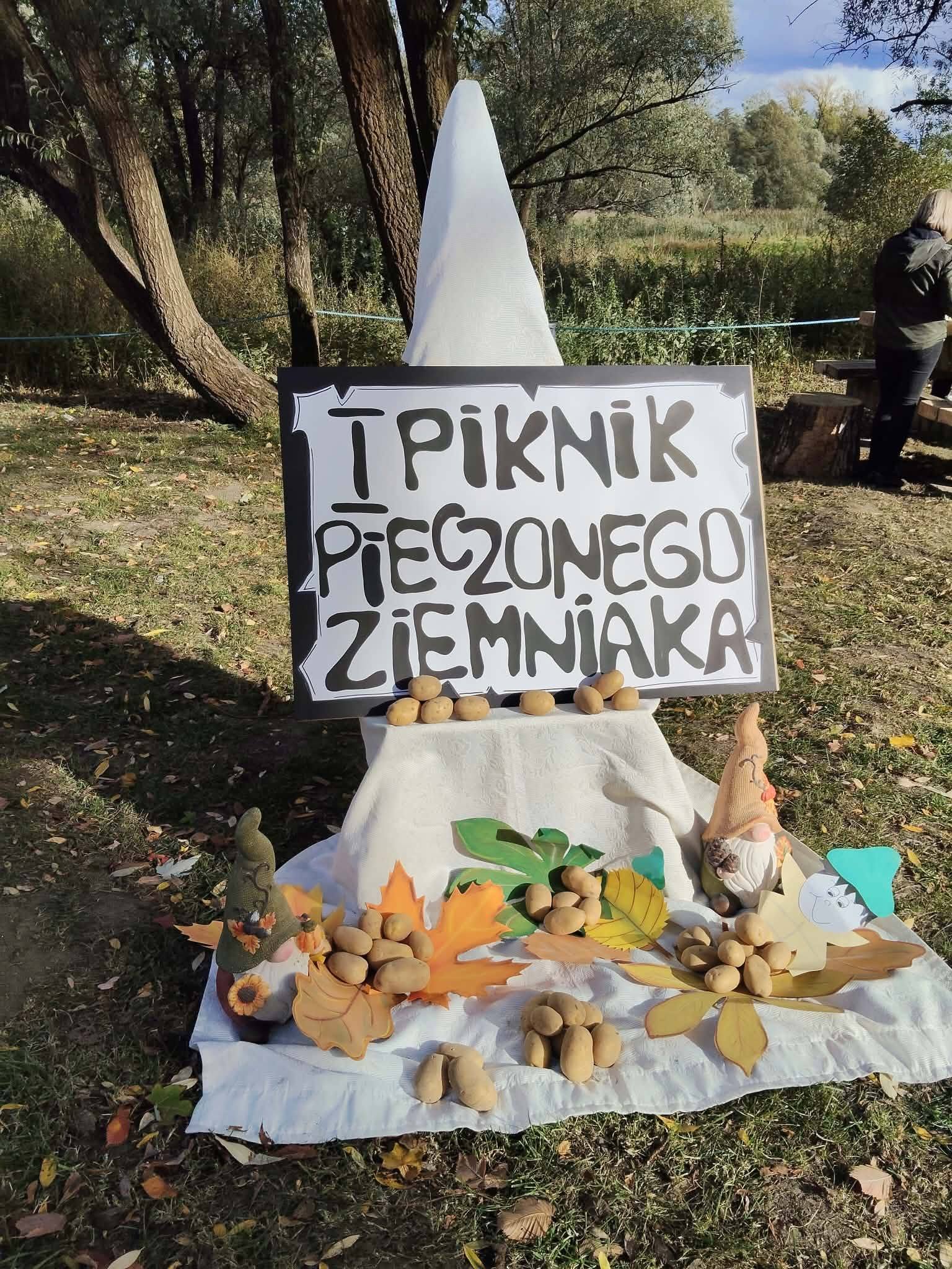 Ilustracja wprowadzenia: Piknik Pieczonego Ziemniaka 