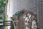 Tęczowe Motyle podbijają Poznań! 🦋🚌 - zdjęcie 7